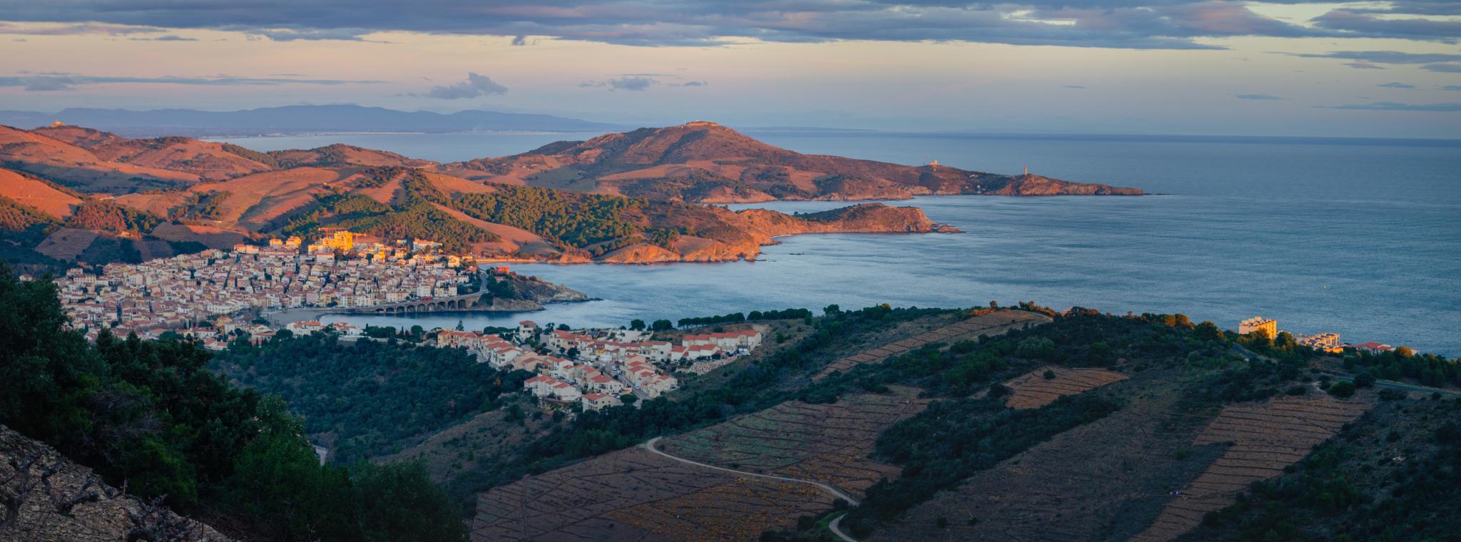 Panorama vignoble de Banyuls