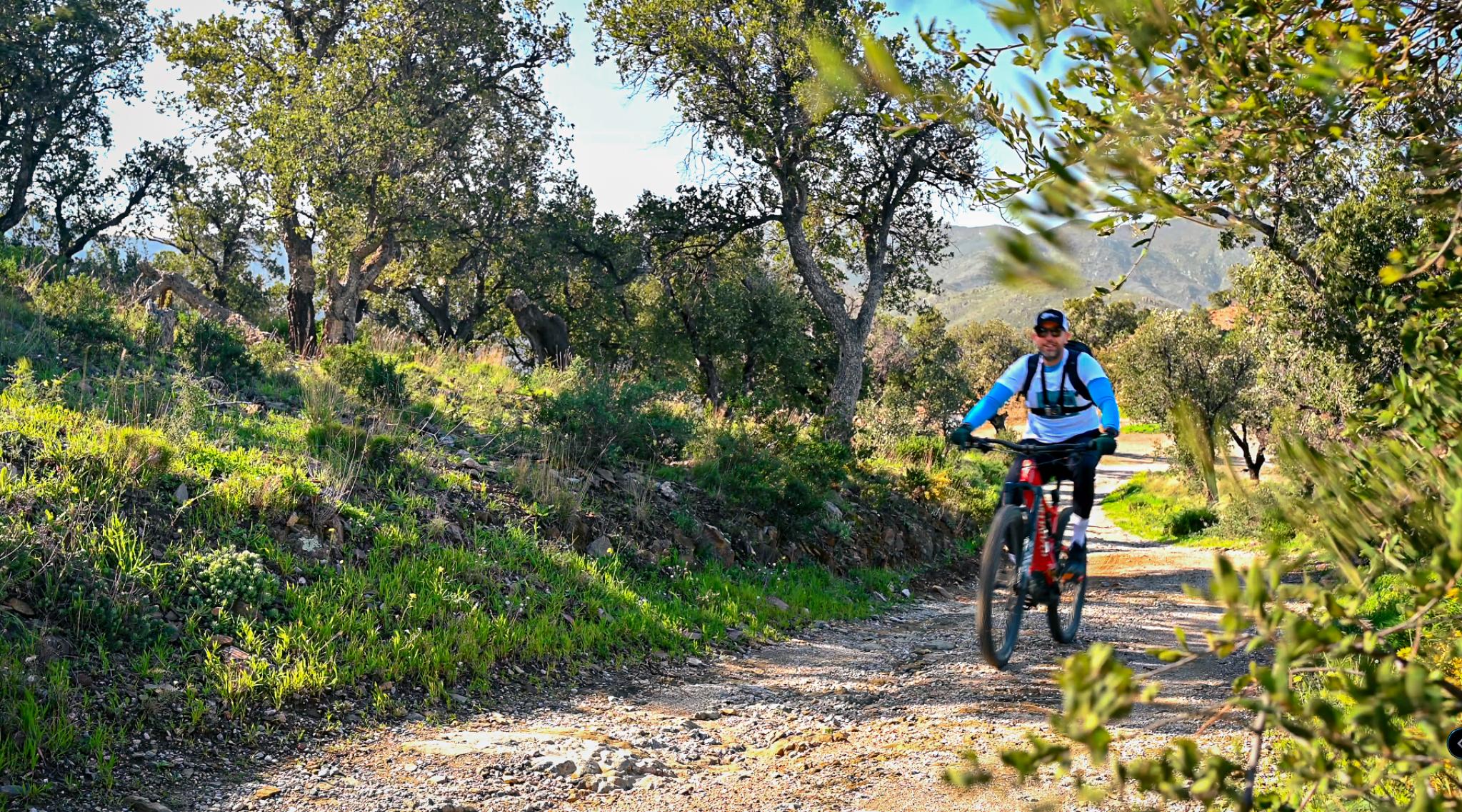 VTT &Eacute;lectrique